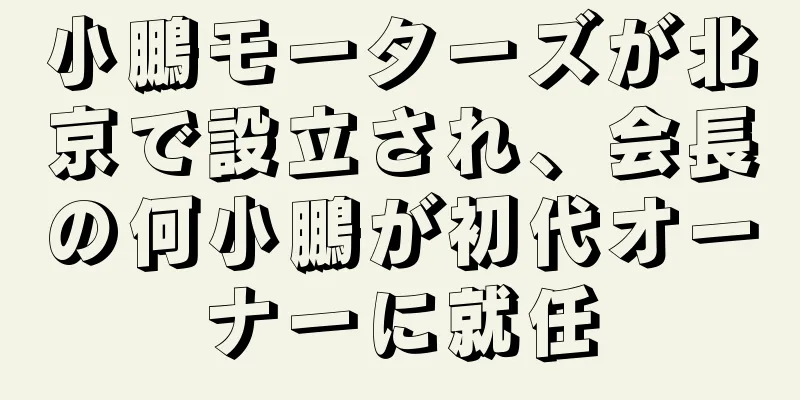 小鵬モーターズが北京で設立され、会長の何小鵬が初代オーナーに就任