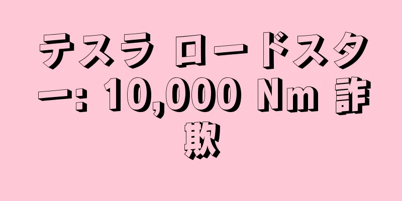 テスラ ロードスター: 10,000 Nm 詐欺