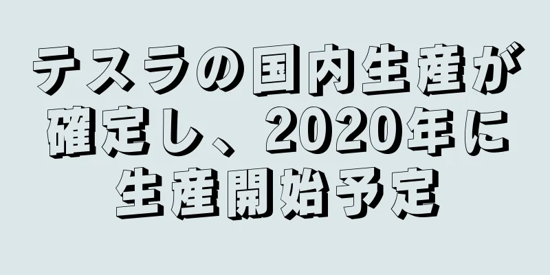 テスラの国内生産が確定し、2020年に生産開始予定