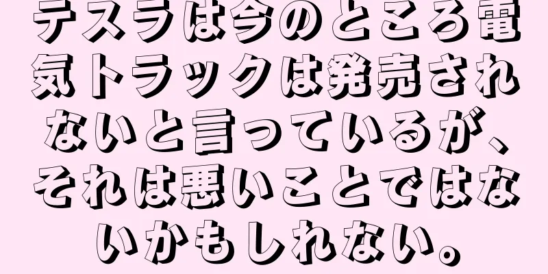 テスラは今のところ電気トラックは発売されないと言っているが、それは悪いことではないかもしれない。