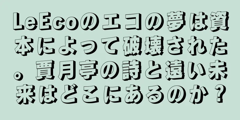 LeEcoのエコの夢は資本によって破壊された。賈月亭の詩と遠い未来はどこにあるのか？