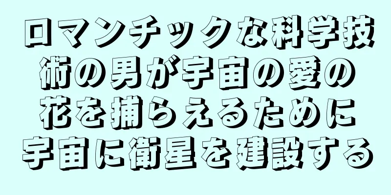ロマンチックな科学技術の男が宇宙の愛の花を捕らえるために宇宙に衛星を建設する