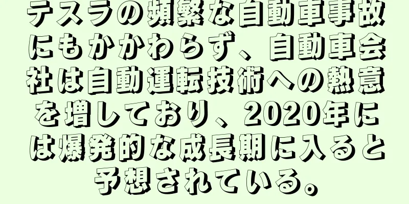 テスラの頻繁な自動車事故にもかかわらず、自動車会社は自動運転技術への熱意を増しており、2020年には爆発的な成長期に入ると予想されている。