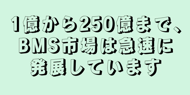 1億から250億まで、BMS市場は急速に発展しています