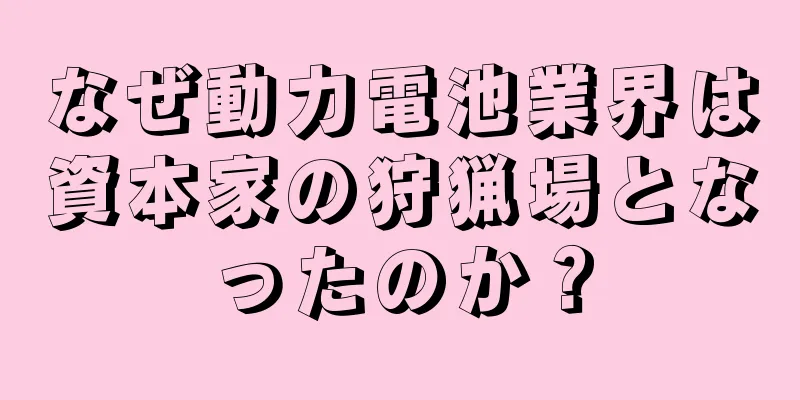 なぜ動力電池業界は資本家の狩猟場となったのか？