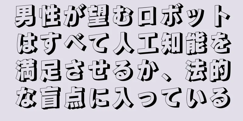 男性が望むロボットはすべて人工知能を満足させるか、法的な盲点に入っている