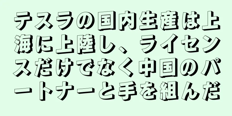 テスラの国内生産は上海に上陸し、ライセンスだけでなく中国のパートナーと手を組んだ