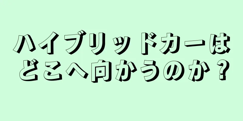 ハイブリッドカーはどこへ向かうのか？
