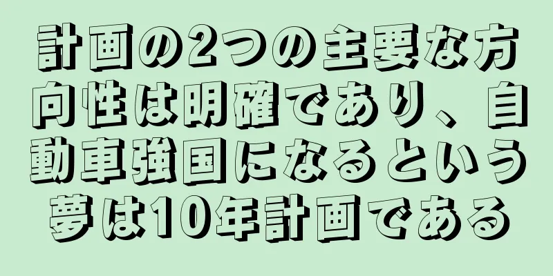 計画の2つの主要な方向性は明確であり、自動車強国になるという夢は10年計画である
