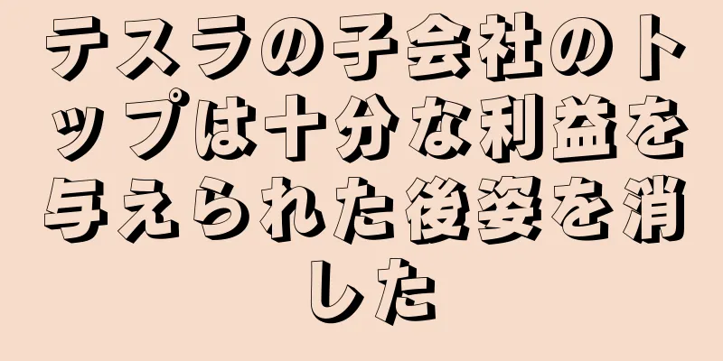 テスラの子会社のトップは十分な利益を与えられた後姿を消した