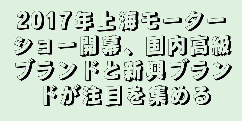 2017年上海モーターショー開幕、国内高級ブランドと新興ブランドが注目を集める