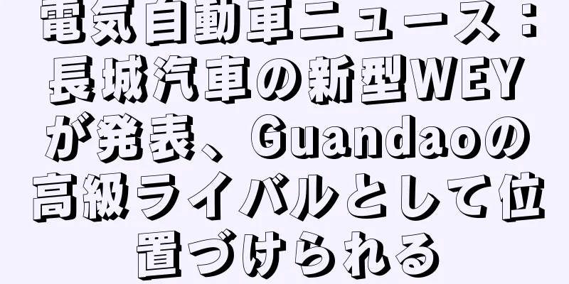 電気自動車ニュース：長城汽車の新型WEYが発表、Guandaoの高級ライバルとして位置づけられる