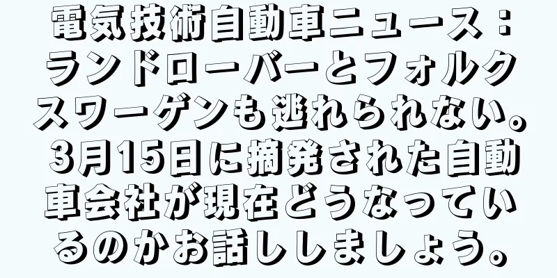電気技術自動車ニュース：ランドローバーとフォルクスワーゲンも逃れられない。 3月15日に摘発された自動車会社が現在どうなっているのかお話ししましょう。