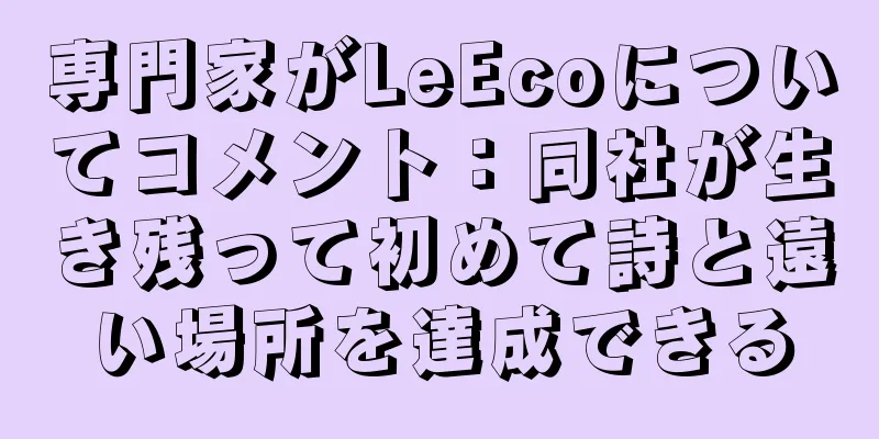専門家がLeEcoについてコメント：同社が生き残って初めて詩と遠い場所を達成できる