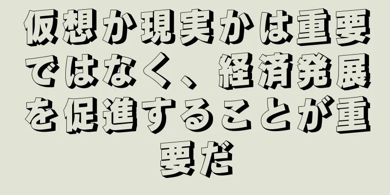 仮想か現実かは重要ではなく、経済発展を促進することが重要だ