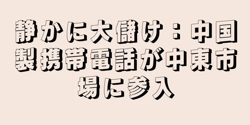 静かに大儲け：中国製携帯電話が中東市場に参入