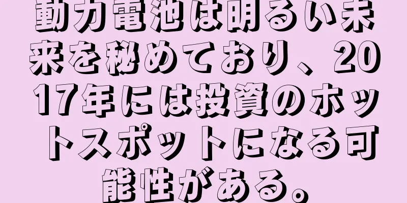 動力電池は明るい未来を秘めており、2017年には投資のホットスポットになる可能性がある。