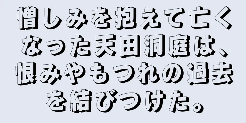 憎しみを抱えて亡くなった天田洞庭は、恨みやもつれの過去を結びつけた。