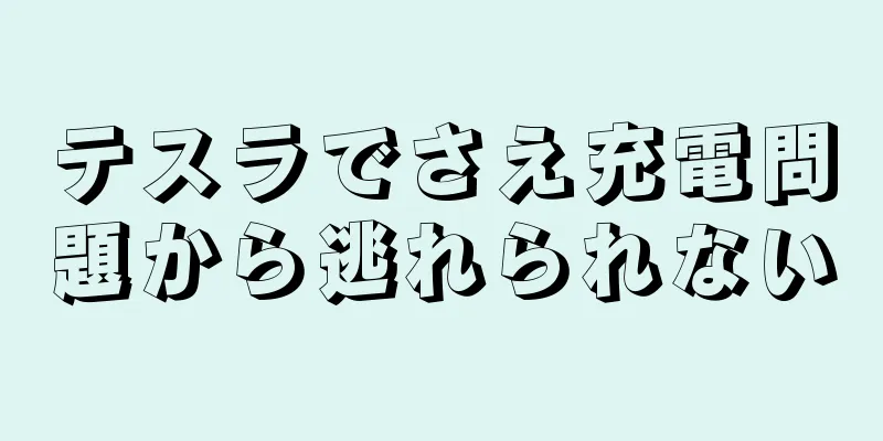 テスラでさえ充電問題から逃れられない