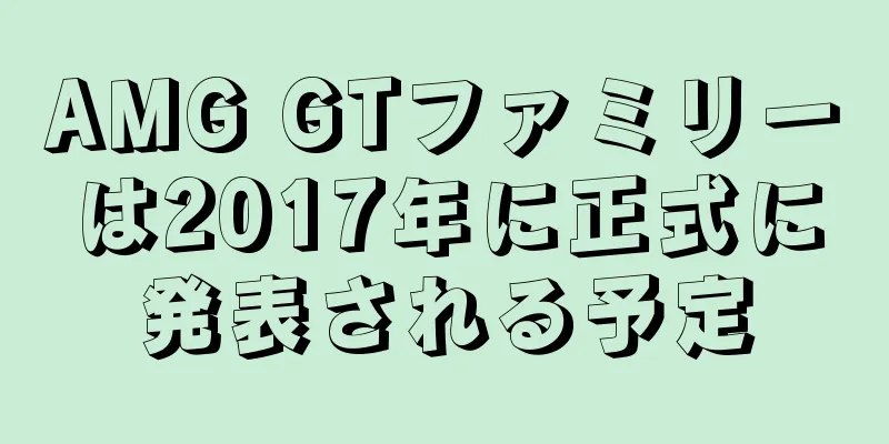 AMG GTファミリーは2017年に正式に発表される予定