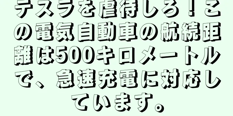 テスラを虐待しろ！この電気自動車の航続距離は500キロメートルで、急速充電に対応しています。