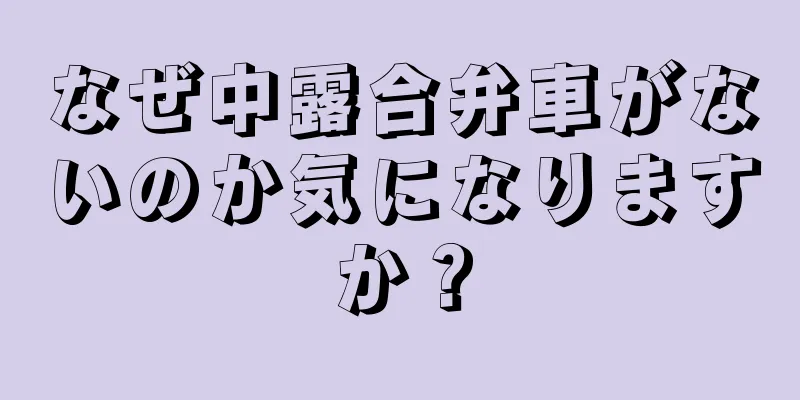 なぜ中露合弁車がないのか気になりますか？