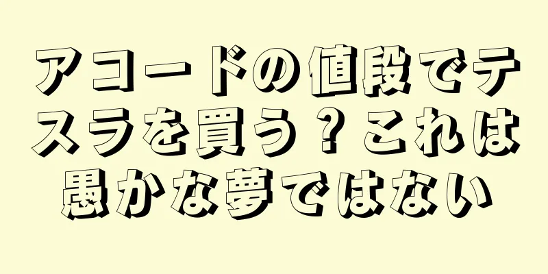 アコードの値段でテスラを買う？これは愚かな夢ではない