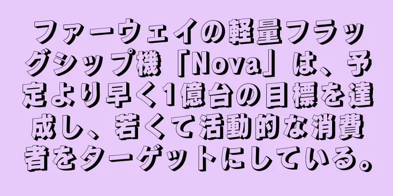 ファーウェイの軽量フラッグシップ機「Nova」は、予定より早く1億台の目標を達成し、若くて活動的な消費者をターゲットにしている。
