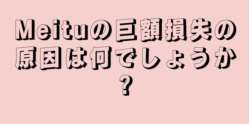 Meituの巨額損失の原因は何でしょうか?
