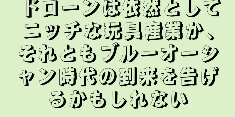 ドローンは依然としてニッチな玩具産業か、それともブルーオーシャン時代の到来を告げるかもしれない