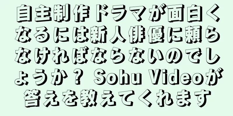 自主制作ドラマが面白くなるには新人俳優に頼らなければならないのでしょうか？ Sohu Videoが答えを教えてくれます