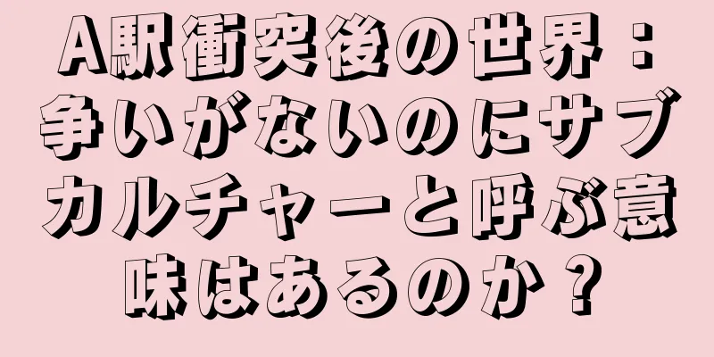 A駅衝突後の世界：争いがないのにサブカルチャーと呼ぶ意味はあるのか？