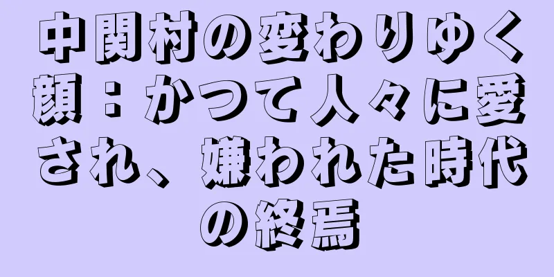 中関村の変わりゆく顔：かつて人々に愛され、嫌われた時代の終焉