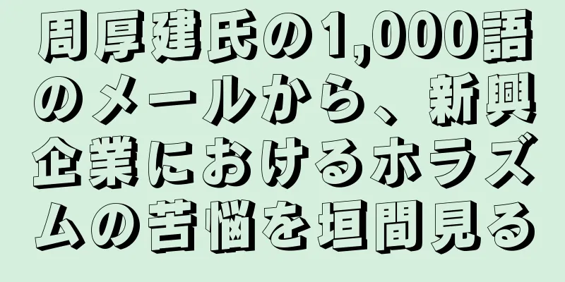周厚建氏の1,000語のメールから、新興企業におけるホラズムの苦悩を垣間見る