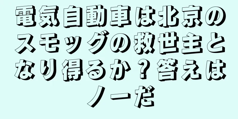 電気自動車は北京のスモッグの救世主となり得るか？答えはノーだ