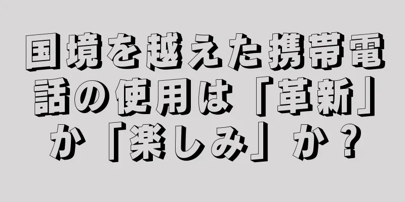 国境を越えた携帯電話の使用は「革新」か「楽しみ」か？