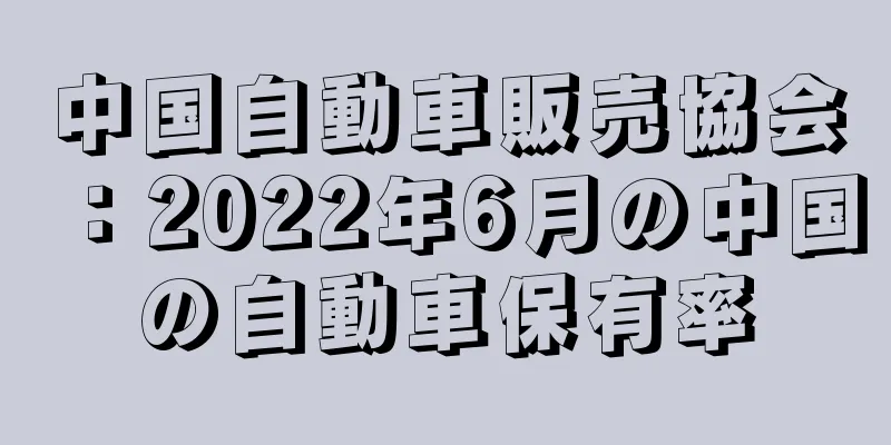 中国自動車販売協会：2022年6月の中国の自動車保有率