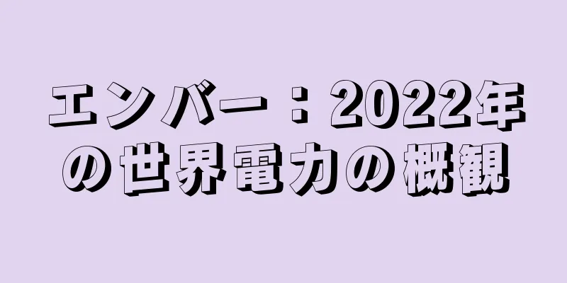 エンバー：2022年の世界電力の概観