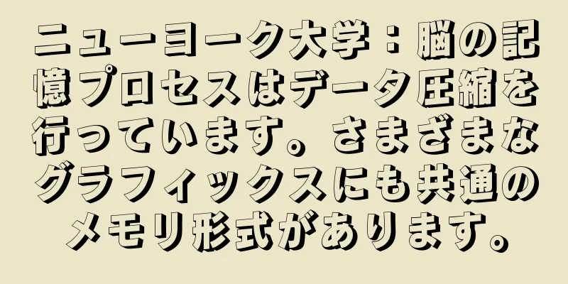 ニューヨーク大学：脳の記憶プロセスはデータ圧縮を行っています。さまざまなグラフィックスにも共通のメモリ形式があります。