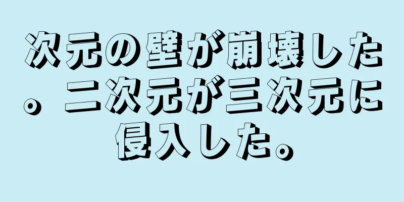 次元の壁が崩壊した。二次元が三次元に侵入した。