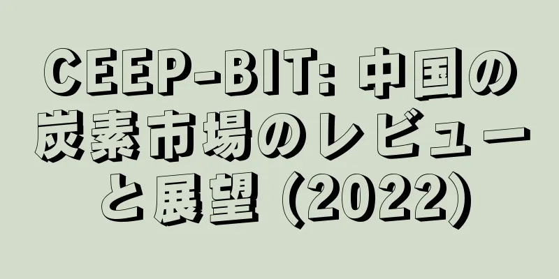CEEP-BIT: 中国の炭素市場のレビューと展望 (2022)