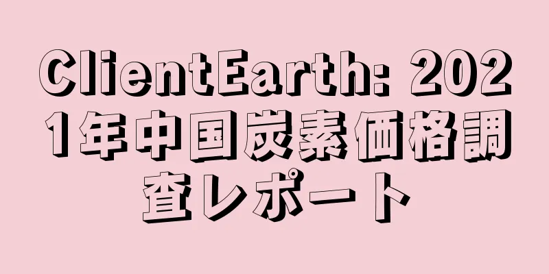 ClientEarth: 2021年中国炭素価格調査レポート