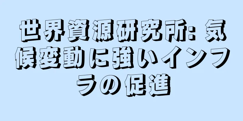 世界資源研究所: 気候変動に強いインフラの促進