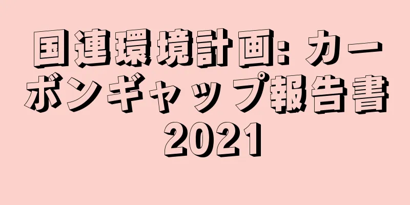 国連環境計画: カーボンギャップ報告書 2021