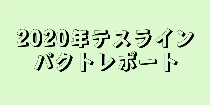 2020年テスラインパクトレポート