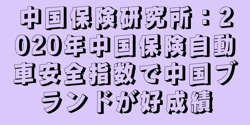 中国保険研究所：2020年中国保険自動車安全指数で中国ブランドが好成績