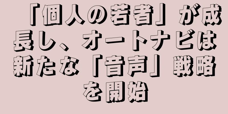 「個人の若者」が成長し、オートナビは新たな「音声」戦略を開始