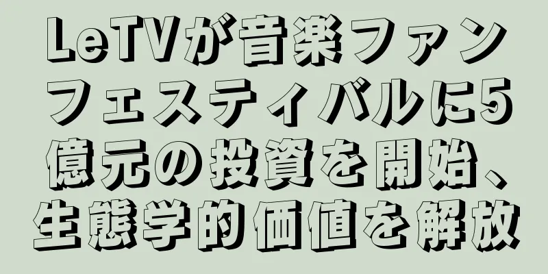 LeTVが音楽ファンフェスティバルに5億元の投資を開始、生態学的価値を解放