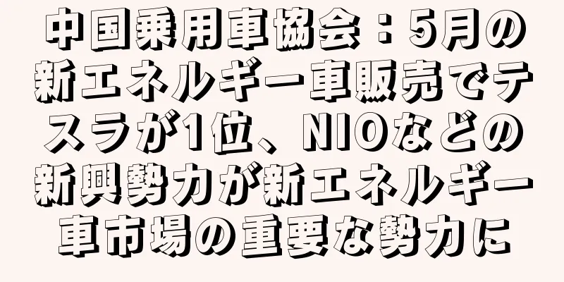 中国乗用車協会：5月の新エネルギー車販売でテスラが1位、NIOなどの新興勢力が新エネルギー車市場の重要な勢力に