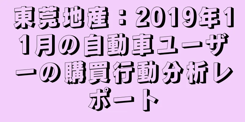 東莞地産：2019年11月の自動車ユーザーの購買行動分析レポート